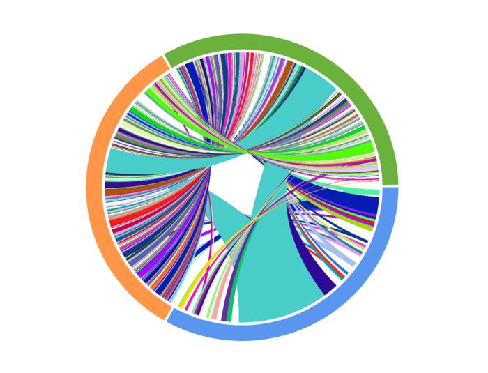 在接受抗pd1治療的患者身上收集的匹配T細(xì)胞受體測(cè)序結(jié)果的Circos圖