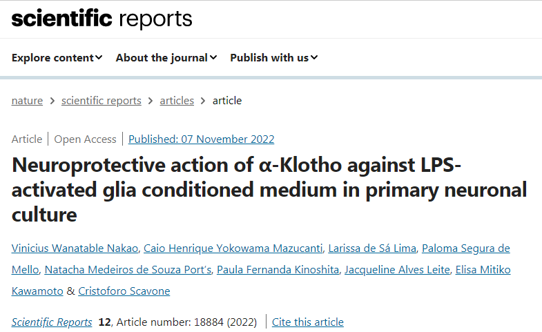 蛋白質(zhì)klotho保護(hù)膠質(zhì)細(xì)胞免受炎癥和死亡的影響 蛋白質(zhì)klotho保護(hù)膠質(zhì)細(xì)胞免受炎癥和死亡的影響