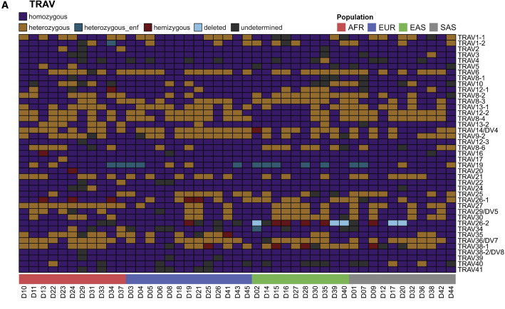 45名供體的TRAV和TRBV基因含量 45名供體的TRAV和TRBV基因含量