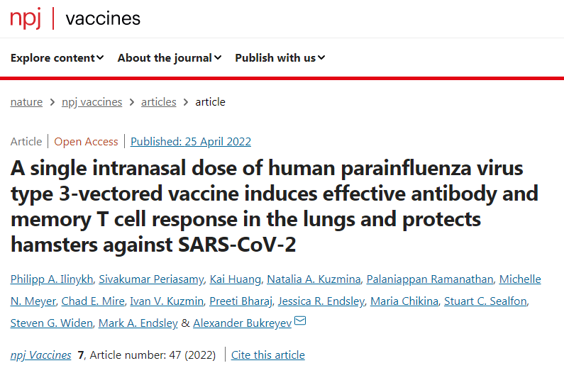鼻腔接種新冠疫苗能引起呼吸道黏膜免疫反應(yīng) 鼻腔接種新冠疫苗能引起呼吸道黏膜免疫反應(yīng)