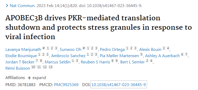 新研究揭示了一種名為APOBEC3B的蛋白質(zhì)如何保護細胞免受RNA病毒感染 新研究揭示了一種名為APOBEC3B的蛋白質(zhì)如何保護細胞免受RNA病毒感染