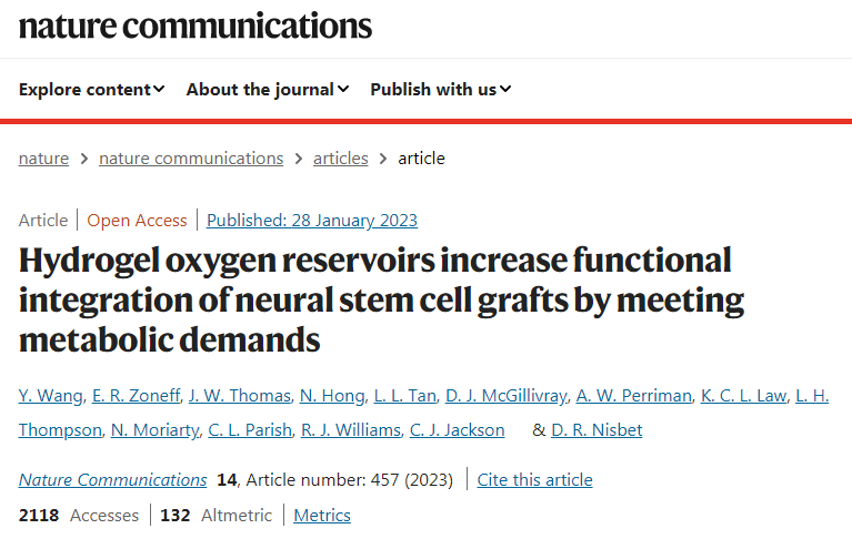 新研究人員開(kāi)發(fā)了新的水凝膠可以安全地將干細(xì)胞輸送到小鼠的腦損傷部位 研究人員開(kāi)發(fā)了新的水凝膠可以安全地將干細(xì)胞輸送到小鼠的腦損傷部位