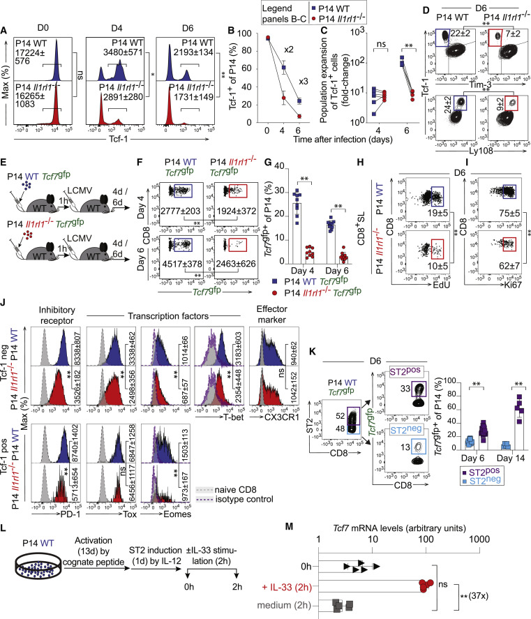 IL-33信號(hào)傳導(dǎo)促進(jìn)CD8+T細(xì)胞Tcf-1表達(dá) IL-33信號(hào)傳導(dǎo)促進(jìn)CD8+T細(xì)胞Tcf-1表達(dá)