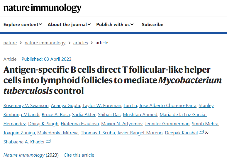 芝加哥大學和圣路易斯華盛頓大學的科學家們表明免疫細胞B細胞在免疫過程中的作用 芝加哥大學和圣路易斯華盛頓大學的科學家們表明免疫細胞B細胞在免疫過程中的作用