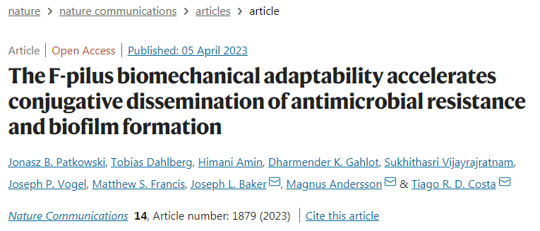 研究發(fā)現(xiàn)F-pili幫助細(xì)菌更有效地轉(zhuǎn)移抗性基因并聚集成生物膜