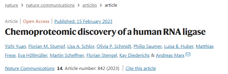 蛋白質(zhì)C12orf29具有抵抗細胞應(yīng)激的保護功能