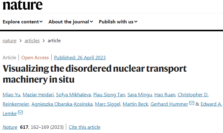 科學(xué)家們發(fā)現(xiàn)毛孔中心的內(nèi)在無(wú)序蛋白質(zhì)是如何形成移動(dòng)屏障