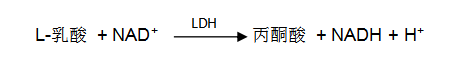乳酸底物法 乳酸底物法