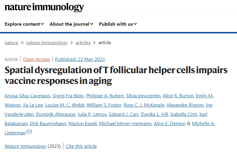 研究免疫反應(yīng)隨著年齡的增長(zhǎng)而變化的方式 研究免疫反應(yīng)隨著年齡的增長(zhǎng)而變化的方式