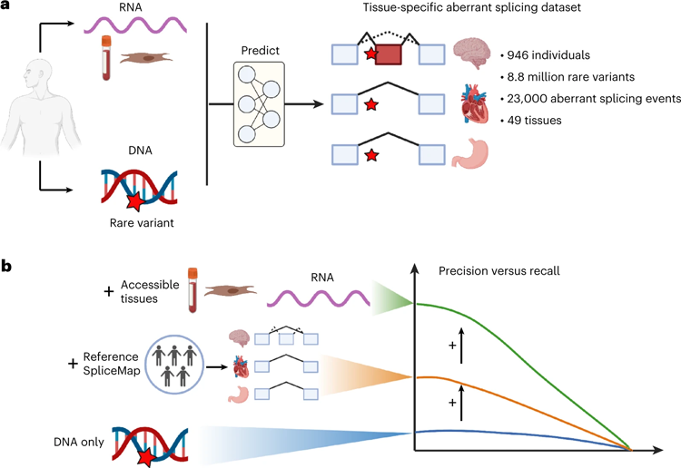 研究設(shè)計(jì)和主要發(fā)現(xiàn) 研究設(shè)計(jì)和主要發(fā)現(xiàn)