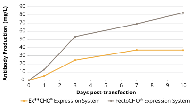 按照標(biāo)準(zhǔn)操作手冊(cè)轉(zhuǎn)染Ex**CHO<sup>TM</sup>細(xì)胞