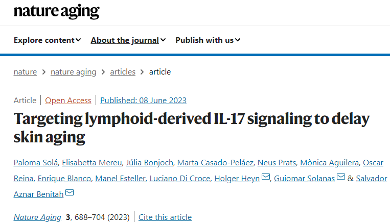 研究人員發(fā)現(xiàn)IL-17蛋白是皮膚衰老的決定性因素