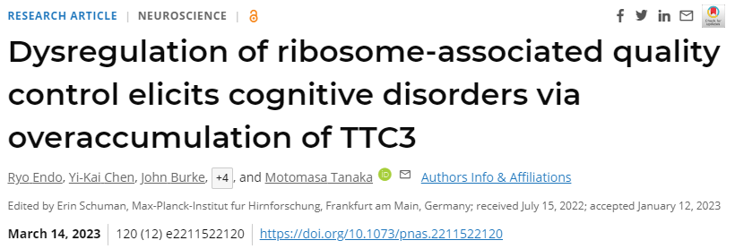 研究人員首次明確了細(xì)胞中蛋白質(zhì)合成過程中的質(zhì)量控制與神經(jīng)系統(tǒng)疾病之間的聯(lián)系 研究人員首次明確了細(xì)胞中蛋白質(zhì)合成過程中的質(zhì)量控制與神經(jīng)系統(tǒng)疾病之間的聯(lián)系