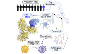 Cell子刊：首次發(fā)現(xiàn)一個(gè)針對HIV-1包膜蛋白的廣泛中和抗體