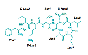 突破！可殺死耐藥菌的新型抗生素