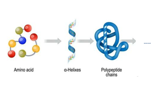 如何選擇酰胺化試劑