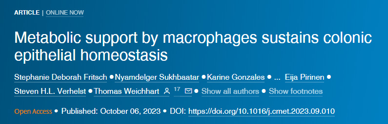 巨噬細(xì)胞的代謝支持維持結(jié)腸上皮穩(wěn)態(tài)