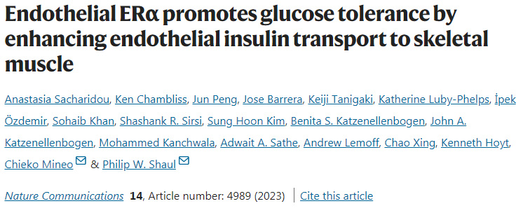 ERα通過加強(qiáng)內(nèi)皮胰島素向骨骼肌的轉(zhuǎn)運(yùn)改善葡萄糖耐受 ERα通過加強(qiáng)內(nèi)皮胰島素向骨骼肌的轉(zhuǎn)運(yùn)改善葡萄糖耐受