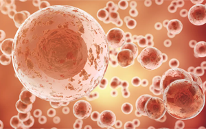 破解密碼：首次發(fā)現(xiàn)TP53突變蛋白的哪些特征對推動(dòng)癌癥生長至關(guān)重要