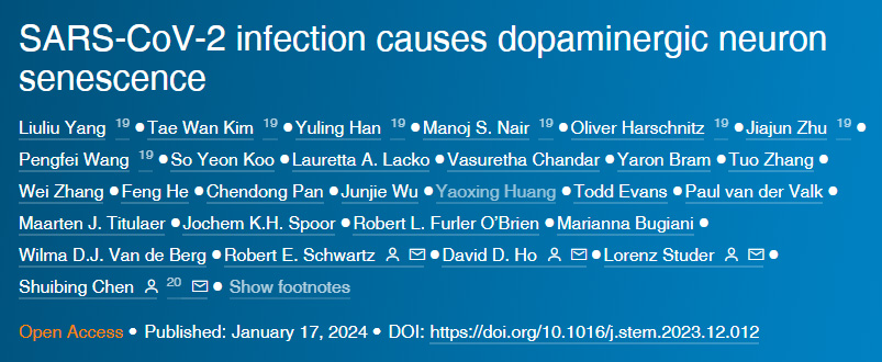 可溶性多價(jià)Jag1DNA折疊納米模板在沒有外力作用下激活細(xì)胞受體Notc 可溶性多價(jià)Jag1DNA折疊納米模板在沒有外力作用下激活細(xì)胞受體Notc