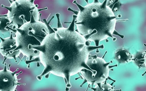 感染318天，體內(nèi)變異40次！COVID-19病例揭示新冠病毒的“超級進(jìn)化史”