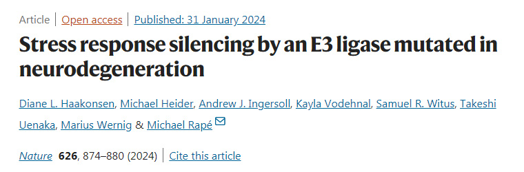 神經退行性病變E3連接酶突變引發(fā)的應激反應沉默