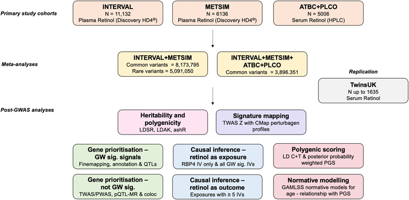循環(huán)視黃醇全基因組分析研究設計綜述 循環(huán)視黃醇全基因組分析研究設計綜述