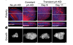 Nature：沒(méi)有基因突變，癌癥照樣發(fā)生？！
