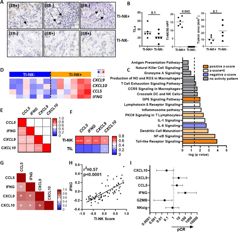 CCL5/IFNG-CXCL9/10軸、TI-NK細胞標記和抗HER2抗體新型輔助治療的反應(yīng)相關(guān)性