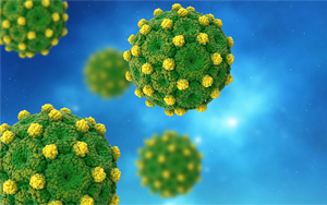 Cell揭示一種前所未見(jiàn)的機(jī)制：乙型肝炎的致命弱點(diǎn)