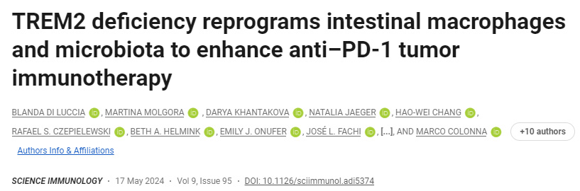 TREM2缺乏重新編程腸道巨噬細(xì)胞和微生物群以增強抗PD-1腫瘤免疫療法 TREM2缺乏重新編程腸道巨噬細(xì)胞和微生物群以增強抗PD-1腫瘤免疫療法