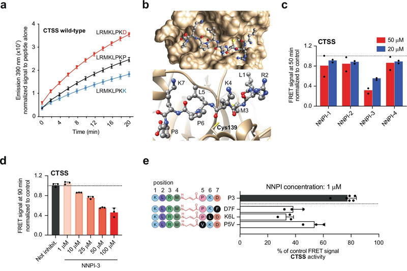 針對CTSS或CTSB的NNPI的設(shè)計和開發(fā) 針對CTSS或CTSB的NNPI的設(shè)計和開發(fā)