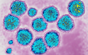 病毒吸收宿主RNA，急性感染可變慢性感染