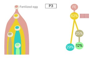 Nature Biotechnology：精確測量癌癥的進(jìn)化，定義分析腫瘤基因組成的最佳算法