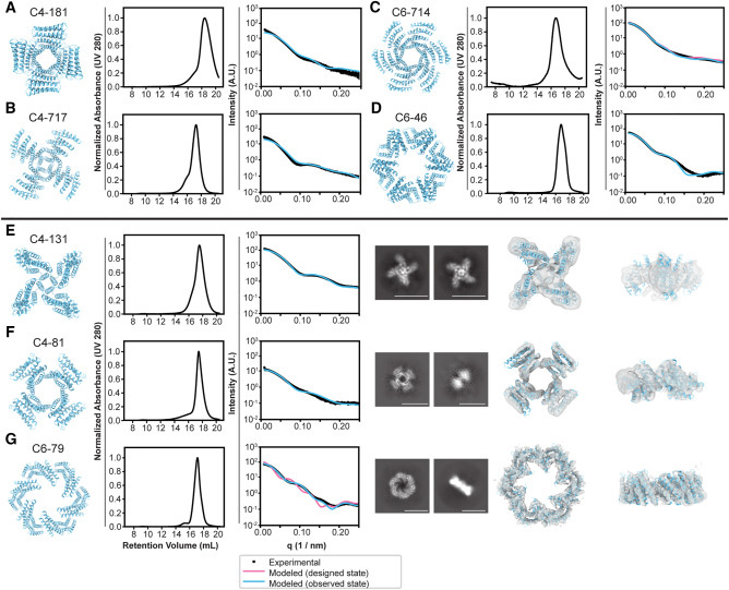 設(shè)計的蛋白質(zhì)低聚物的生物物理特性