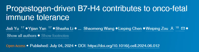 孕激素驅動的B7-H4有助于癌胚免疫耐受 孕激素驅動的B7-H4有助于癌胚免疫耐受