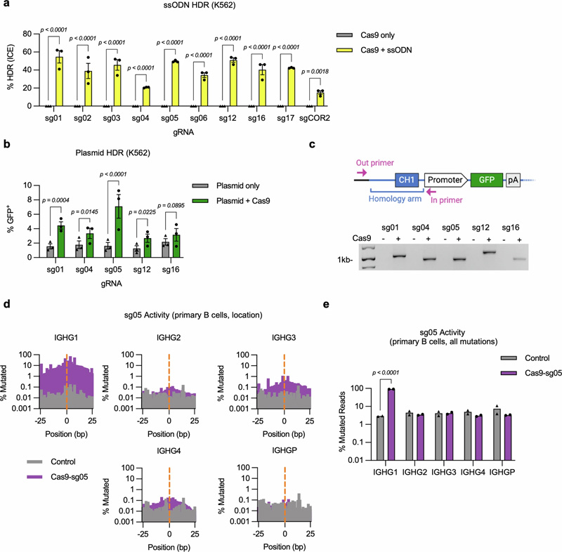 IgH基因座恒定區(qū)基因組編輯的擴(kuò)展分析 IgH基因座恒定區(qū)基因組編輯的擴(kuò)展分析