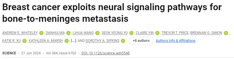 乳腺癌利用神經(jīng)信號通路進行骨轉(zhuǎn)移 乳腺癌利用神經(jīng)信號通路進行骨轉(zhuǎn)移