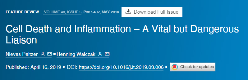 細(xì)胞死亡和炎癥重要但危險(xiǎn)的聯(lián)系 細(xì)胞死亡和炎癥重要但危險(xiǎn)的聯(lián)系