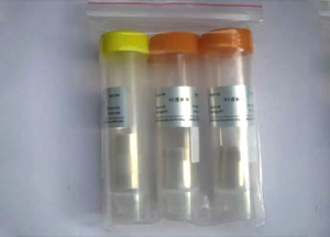 經(jīng)濟(jì)型透析袋，RC膜，14 KD，扁平寬度77 mm