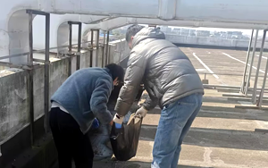 全員C位共筑辦公新生態(tài)