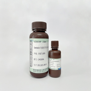 Seebio?免脫色考馬斯亮藍快速染色液