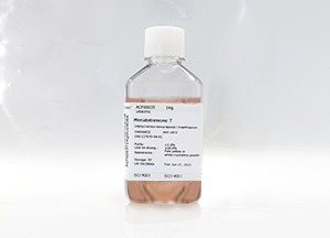 SeeHEK293CD03基礎(chǔ)培養(yǎng)基(液體)