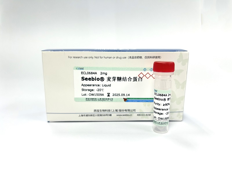 Seebio??麥芽糖結(jié)合蛋白（MBP）