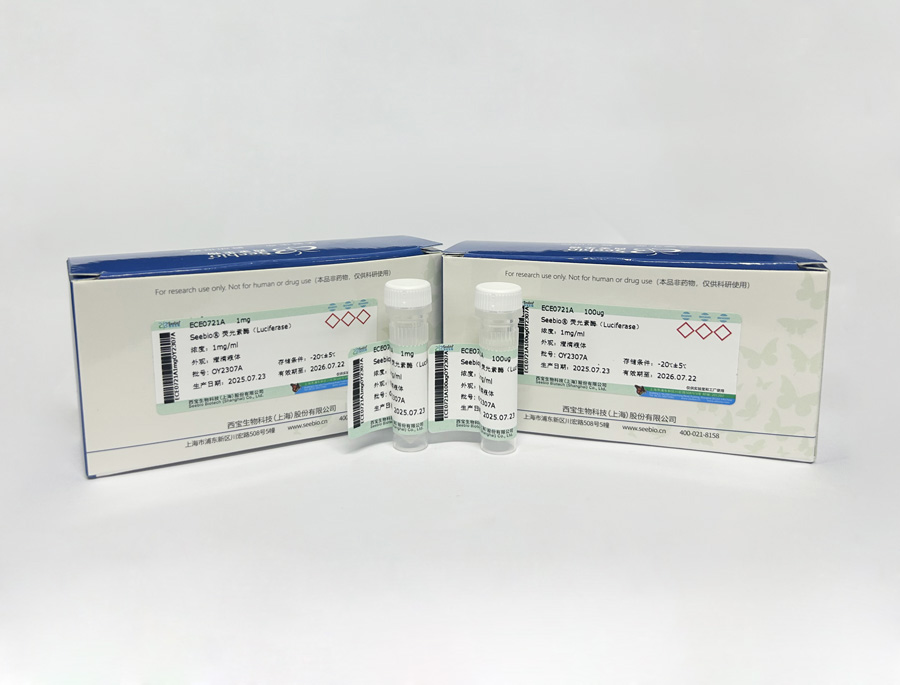 Seebio? 熒光素酶（Luciferase）