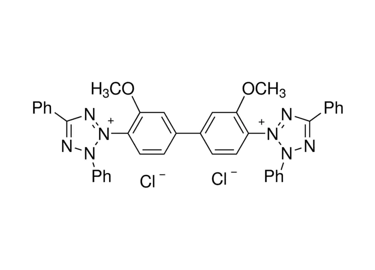 四氮唑藍(lán)(BT)