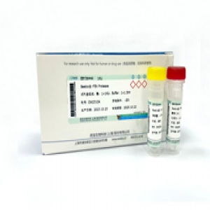 Seebio? 重組煙草蝕紋病毒蛋白酶（TEV酶）