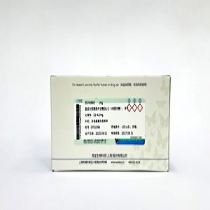 重組谷氨酰胺內(nèi)切酶Glu-C（V8蛋白酶），凍干